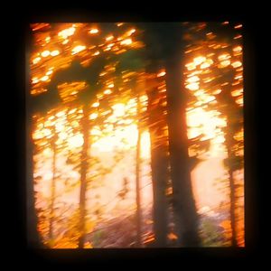 亚洲~首页~原始
