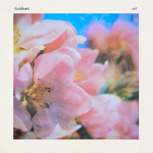 亚洲~首页~原始
